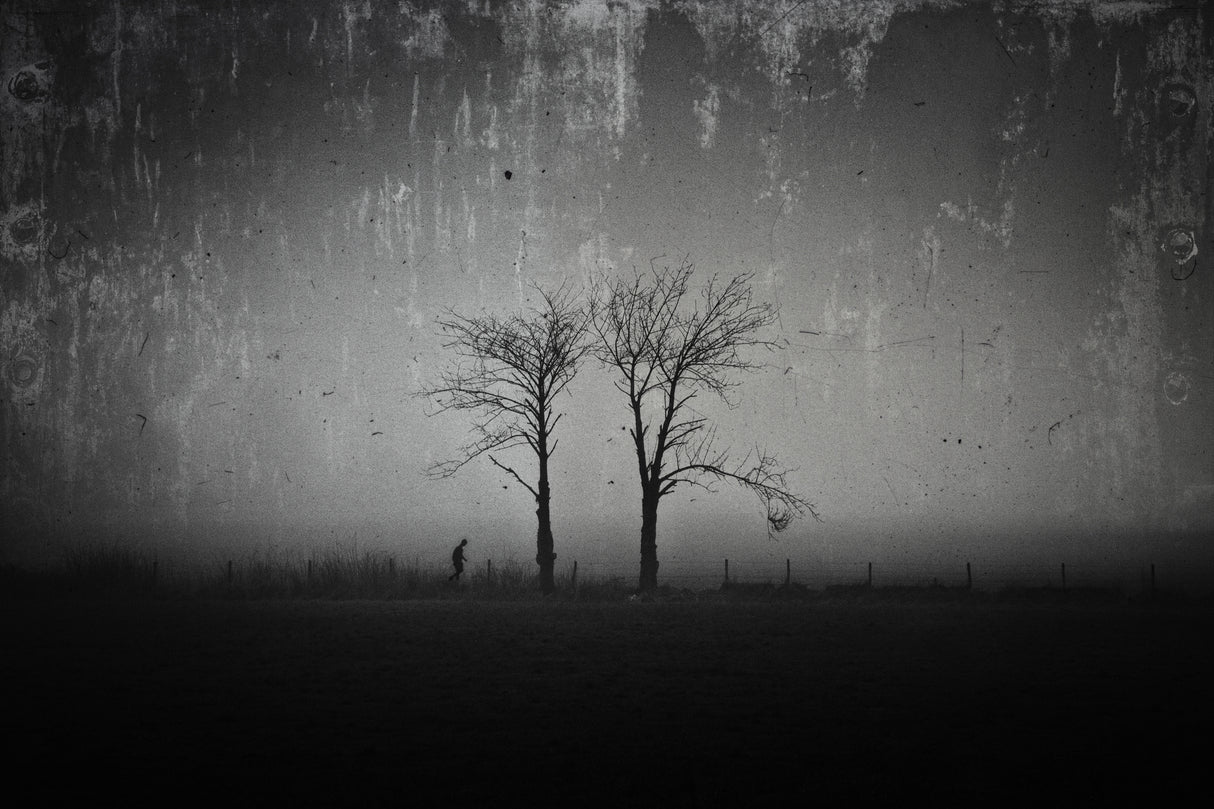 In A Dark Dream Poster och Canvastavla