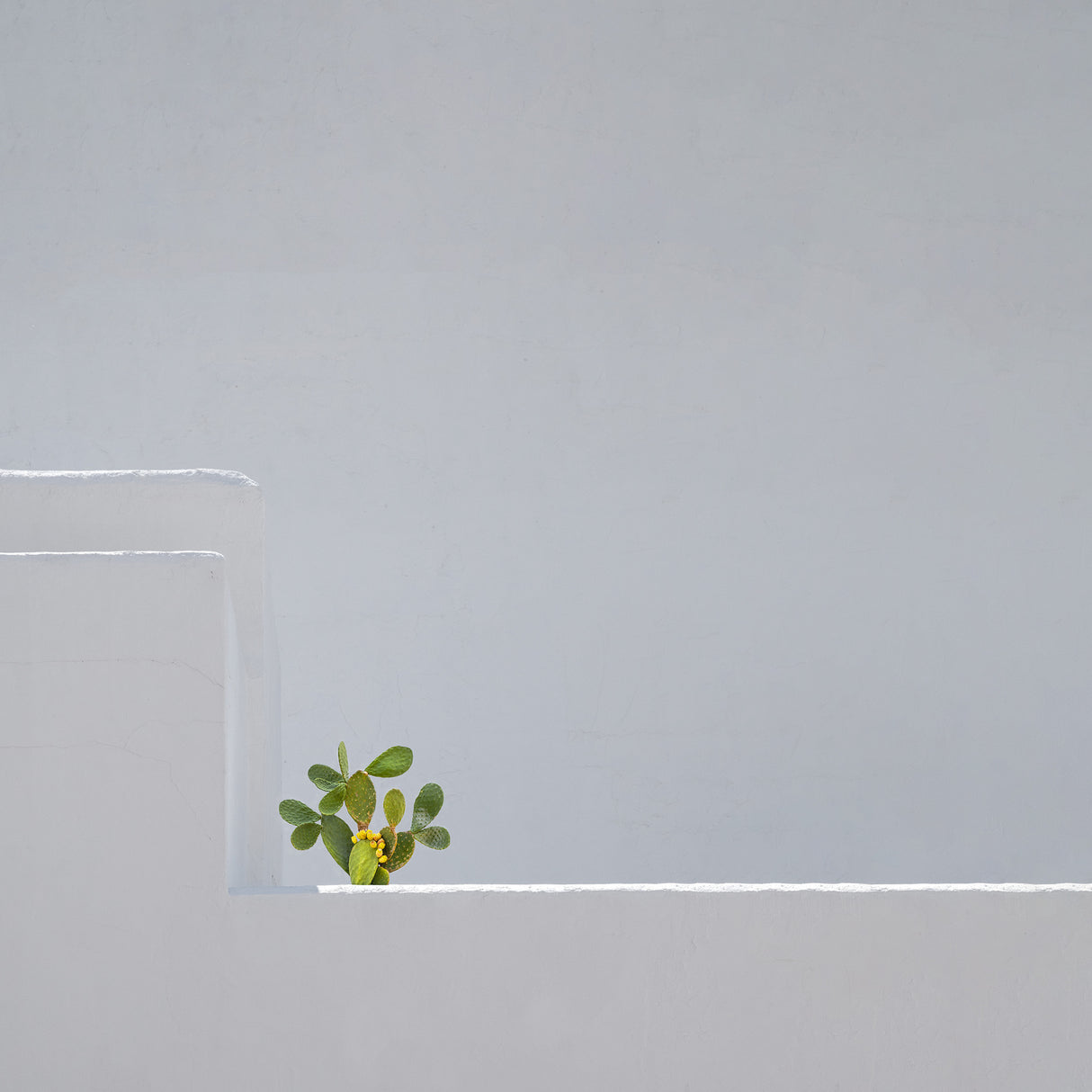 stand alone Poster och Canvastavla