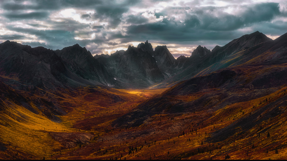 Autumn in Tombstone Mountain Poster och Canvastavla