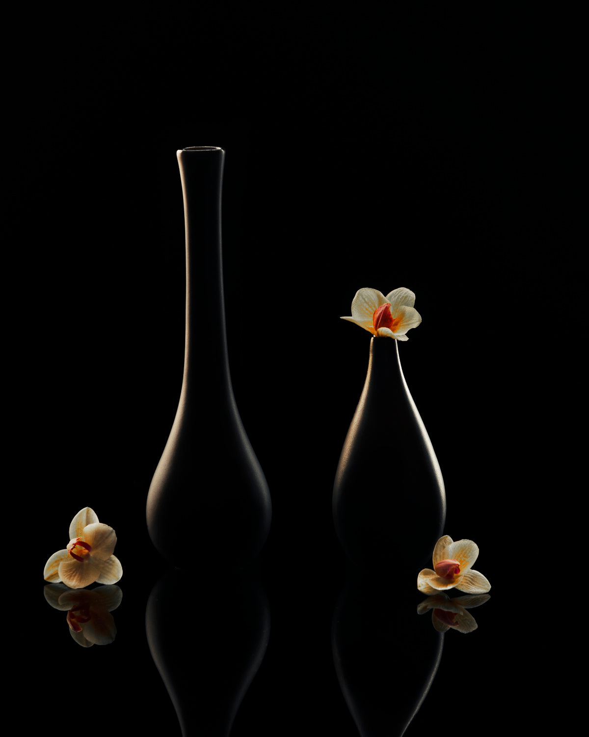 Elegant orchid Poster och Canvastavla