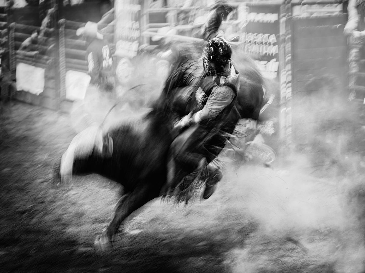 Bull Riding Poster och Canvastavla