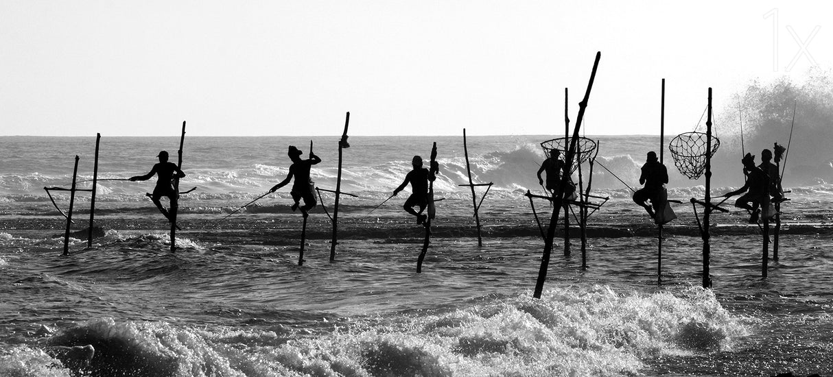 The Stick Fishermen Poster och Canvastavla