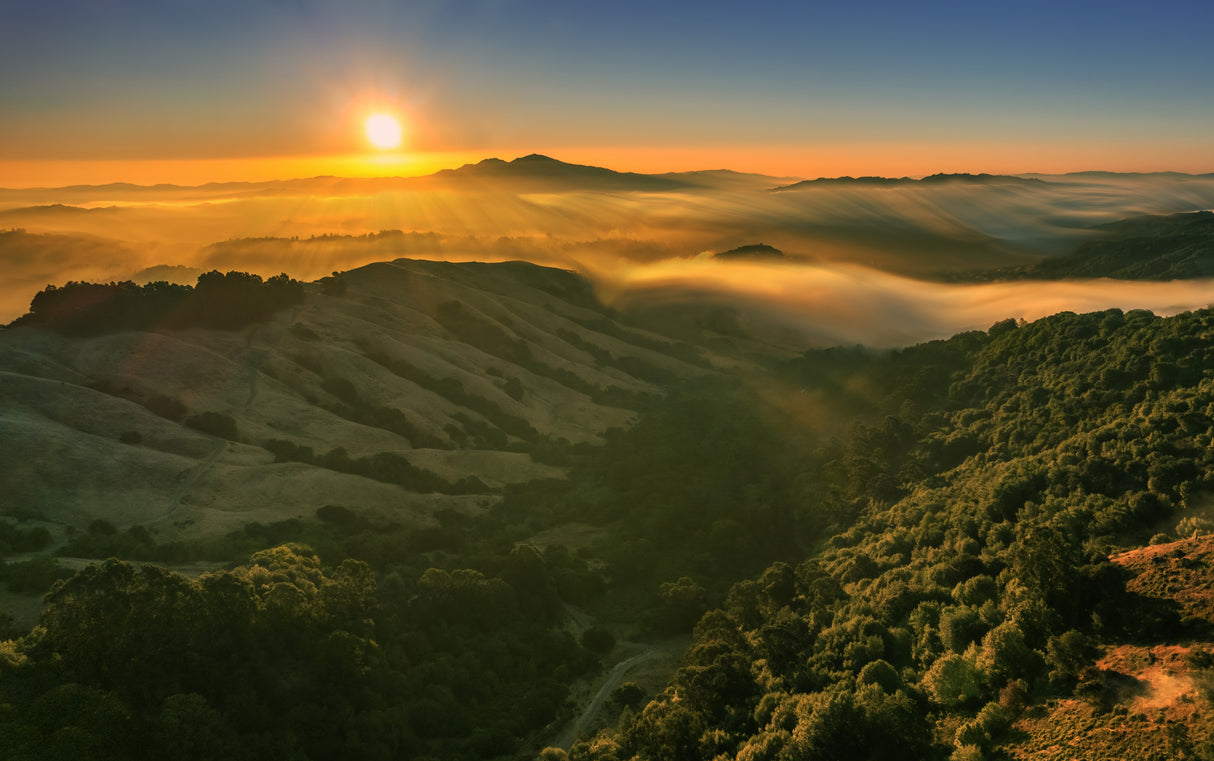 Sunrise at Berkeley Poster och Canvastavla