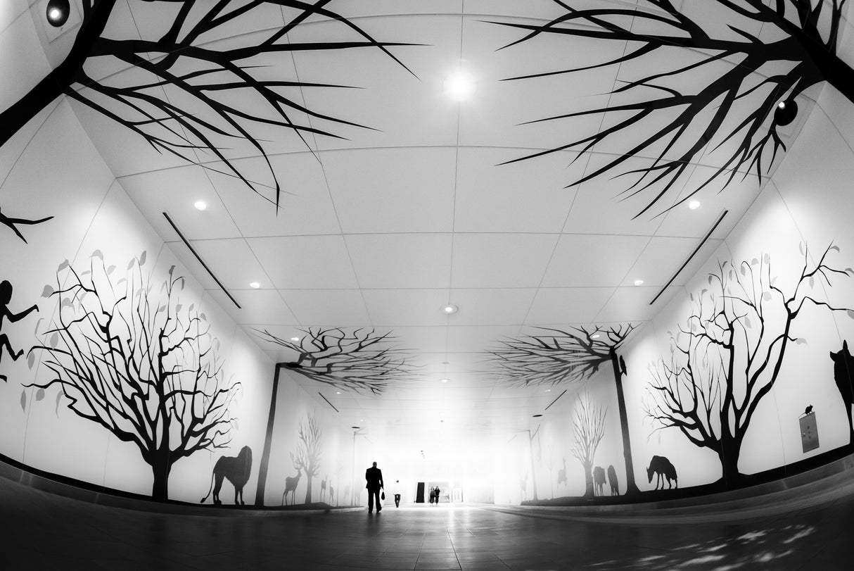 Urban forest road Poster och Canvastavla