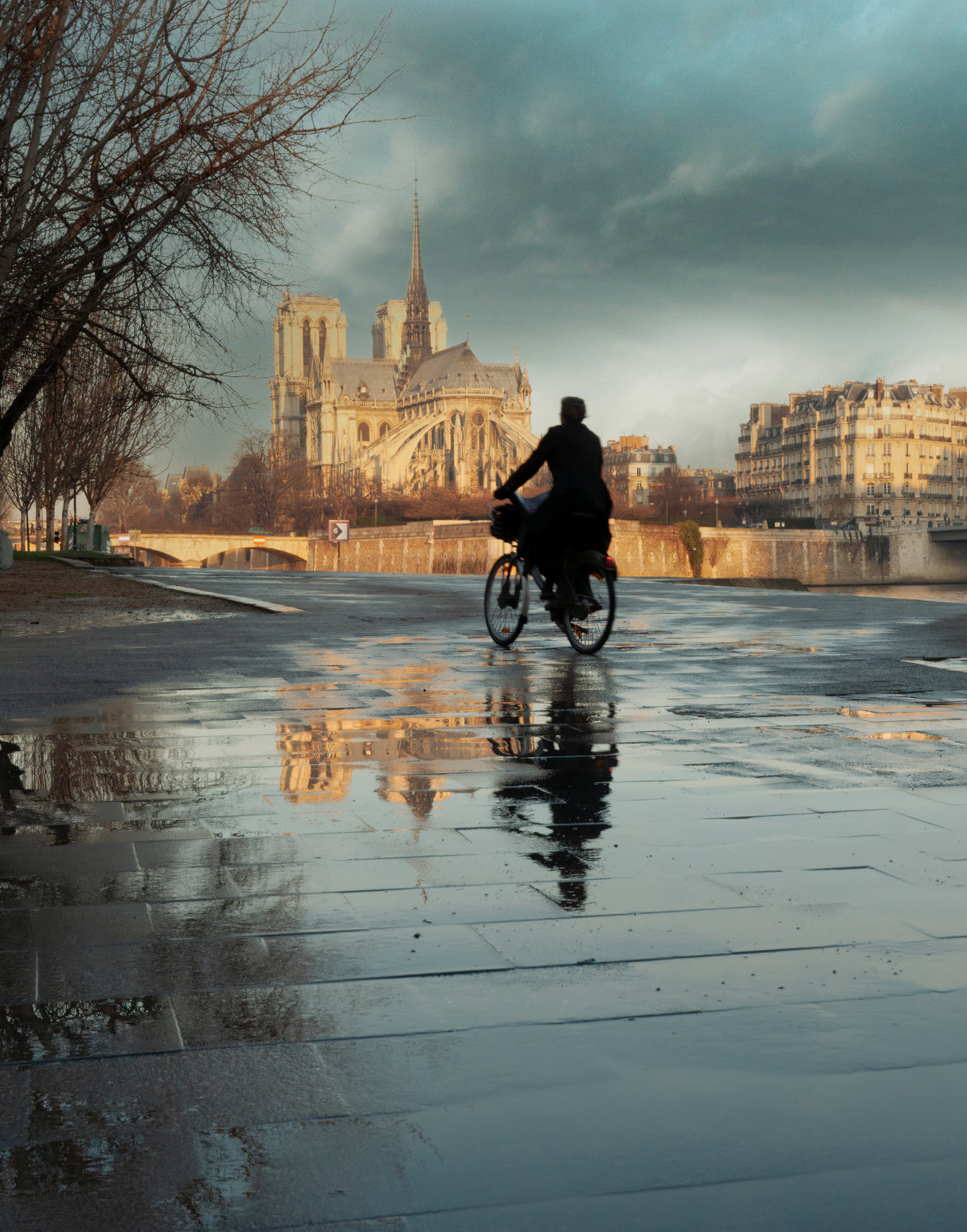 Notre Dame and cyclist Poster och Canvastavla