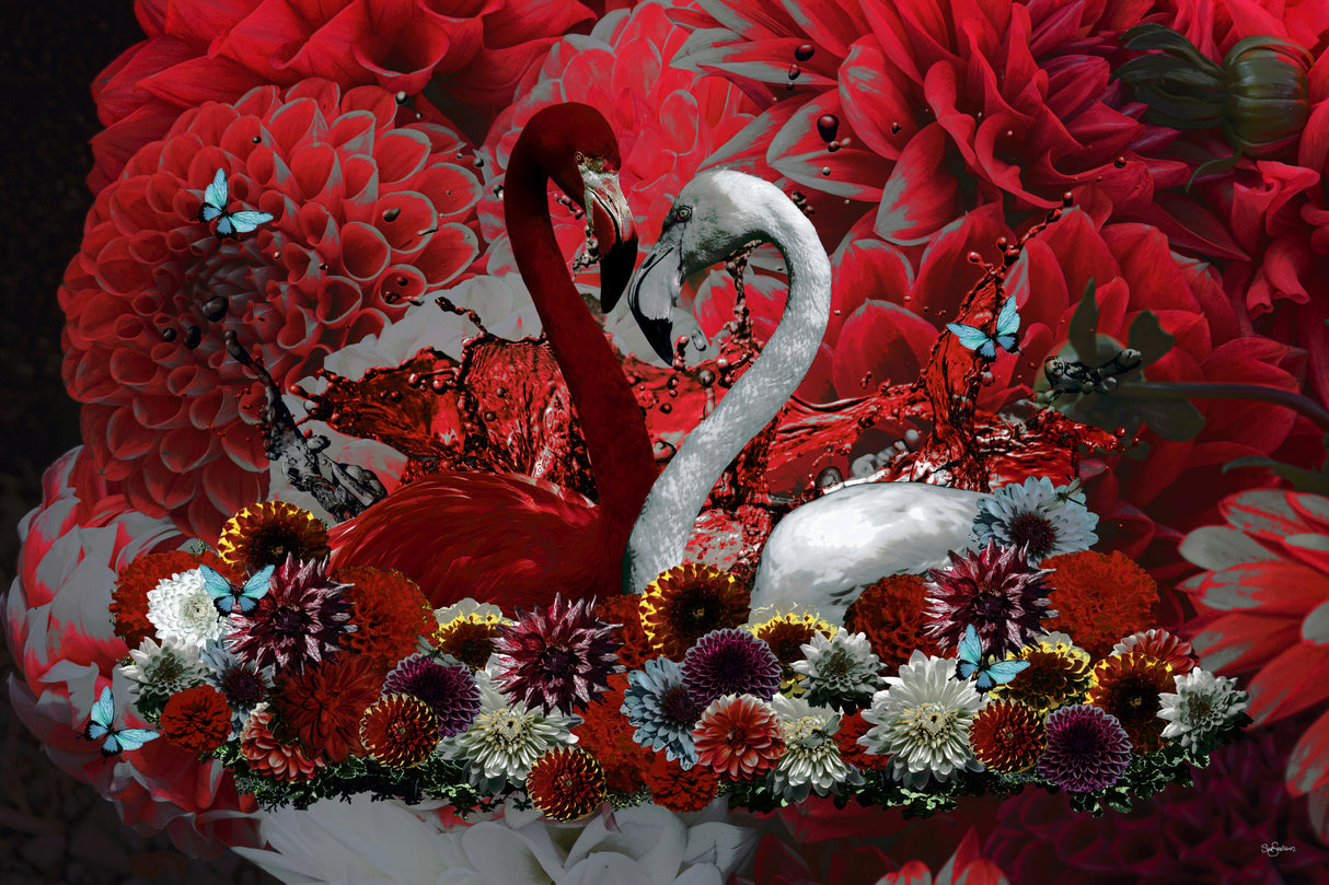 Flamingo & Dahlias Romance Poster och Canvastavla