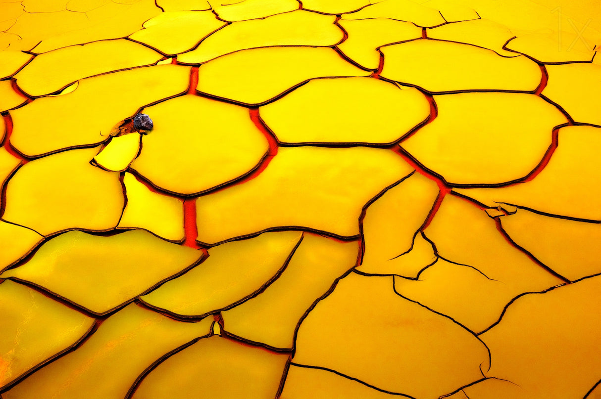 Yellow ground, red heart Poster och Canvastavla