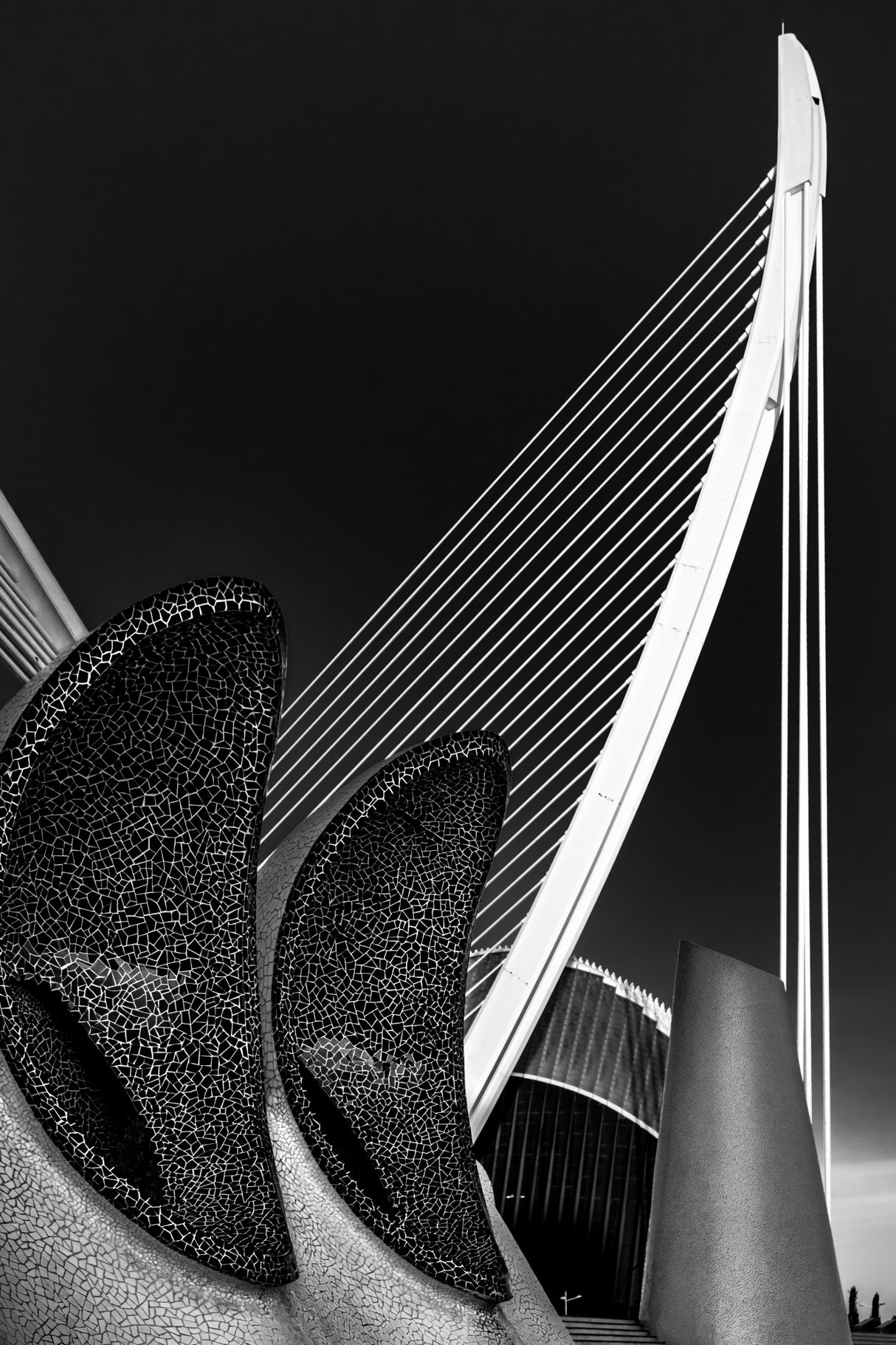 Harp concerto Poster och Canvastavla