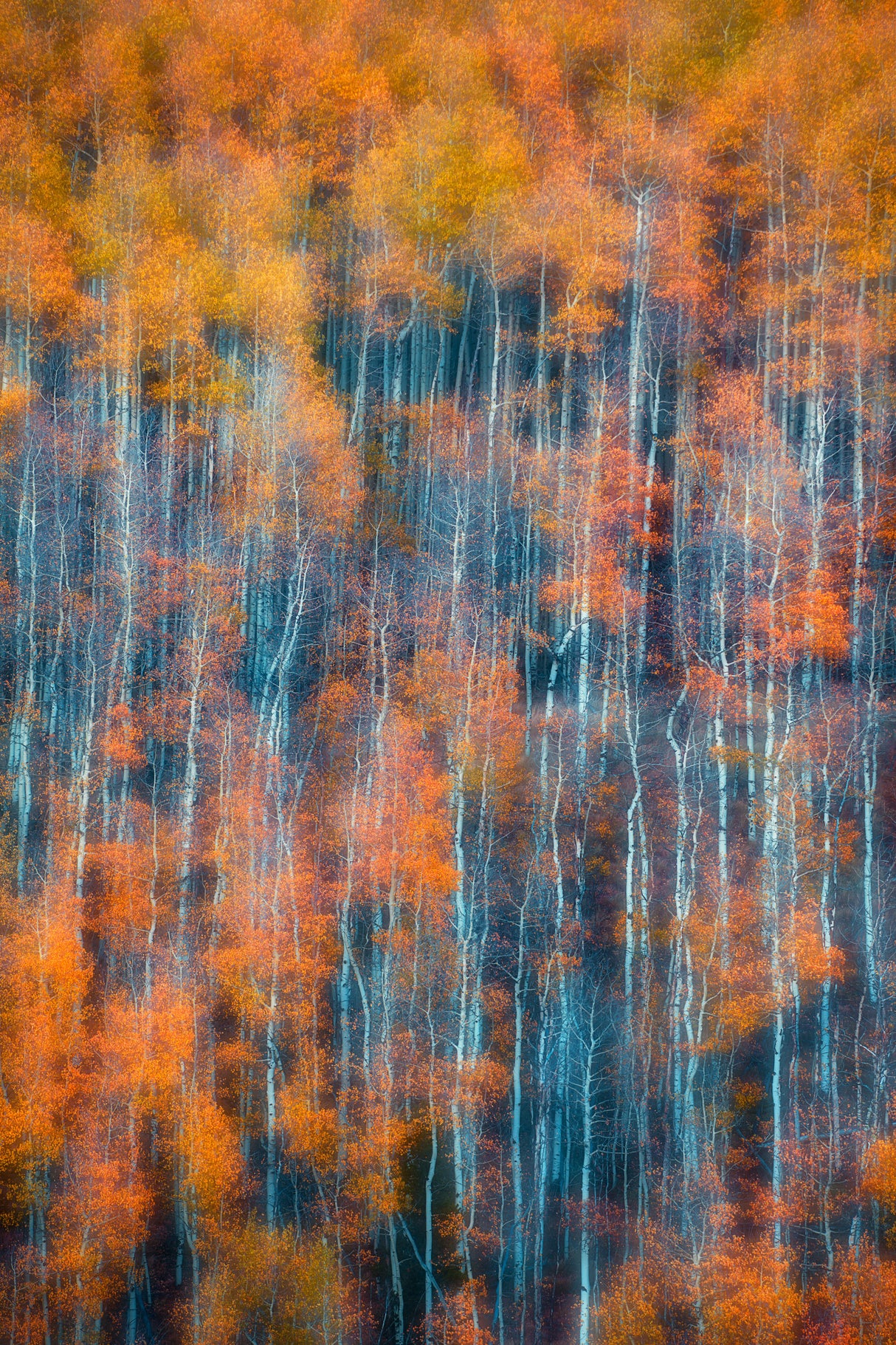 Autumn Abstract Vertical Poster och Canvastavla