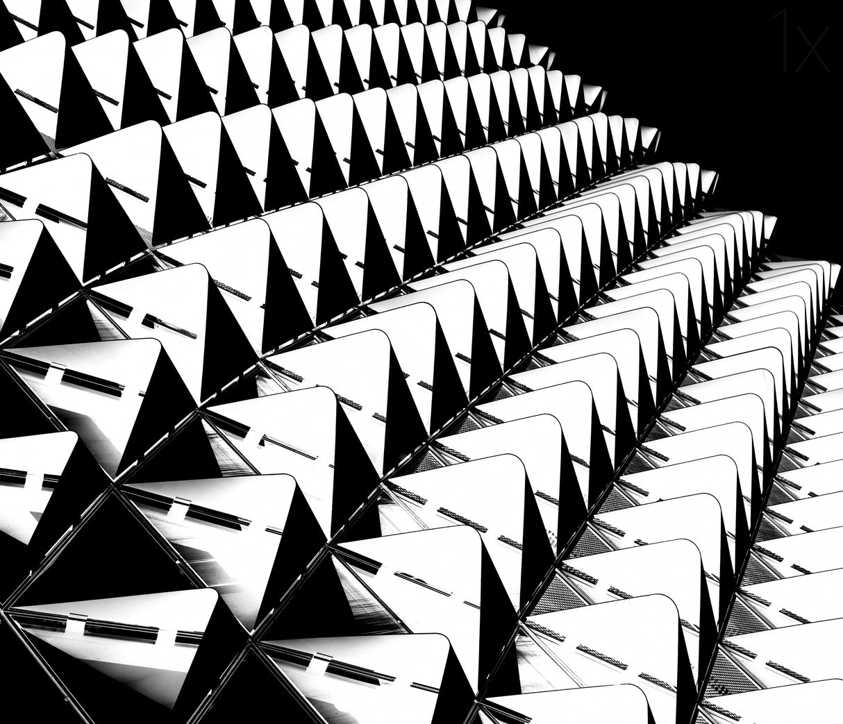 Row upon Row Poster och Canvastavla