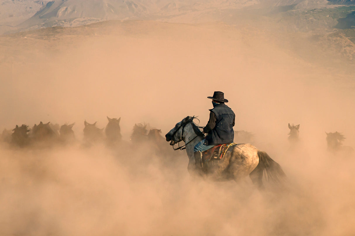 cowboy Poster och Canvastavla