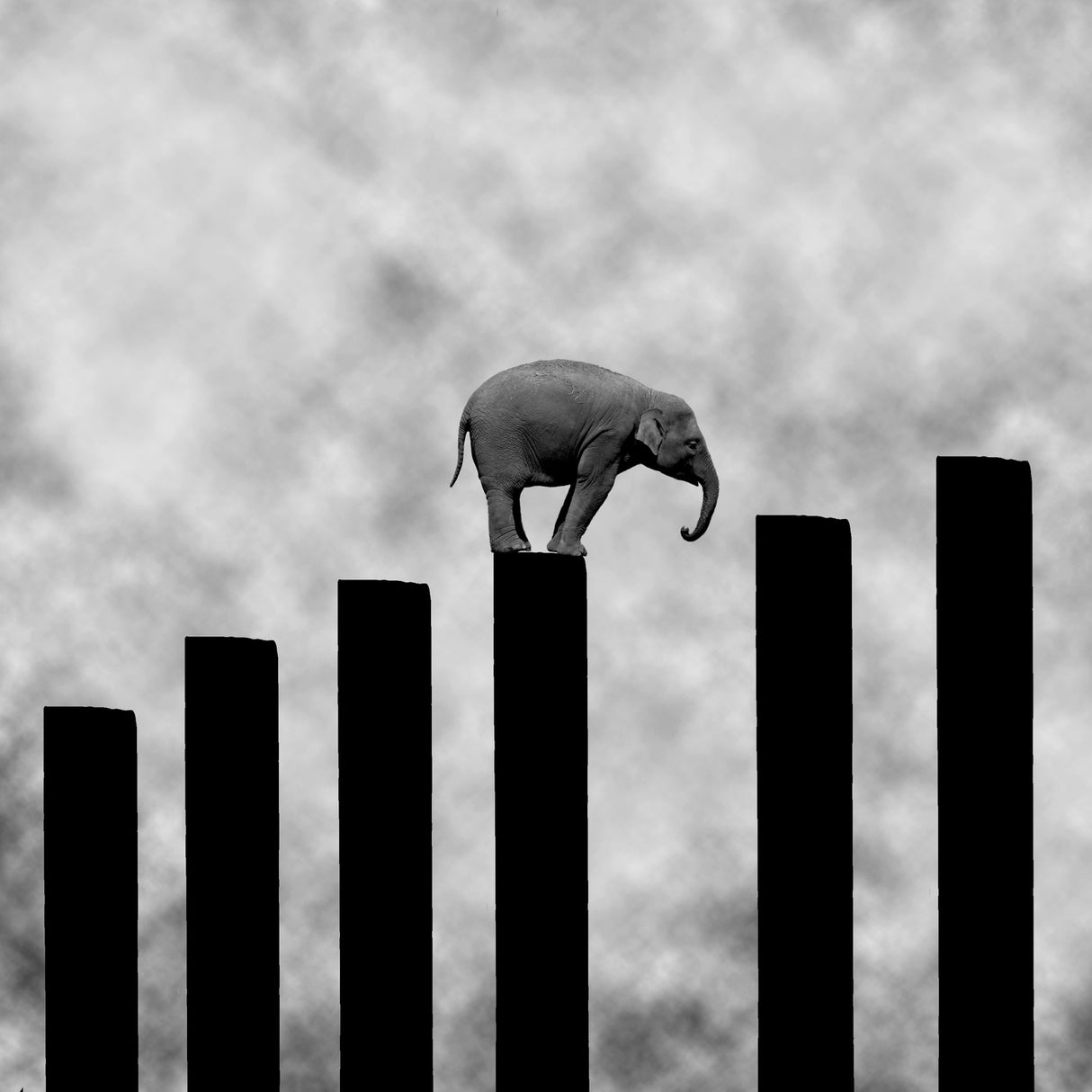 Hard step Poster och Canvastavla