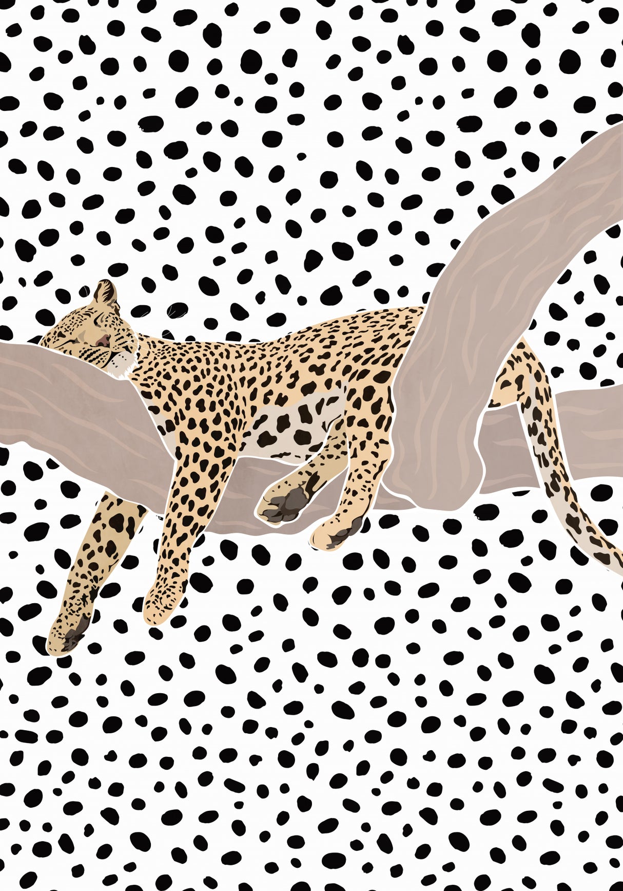 Leopard Sleeping Polkadots Poster och Canvastavla