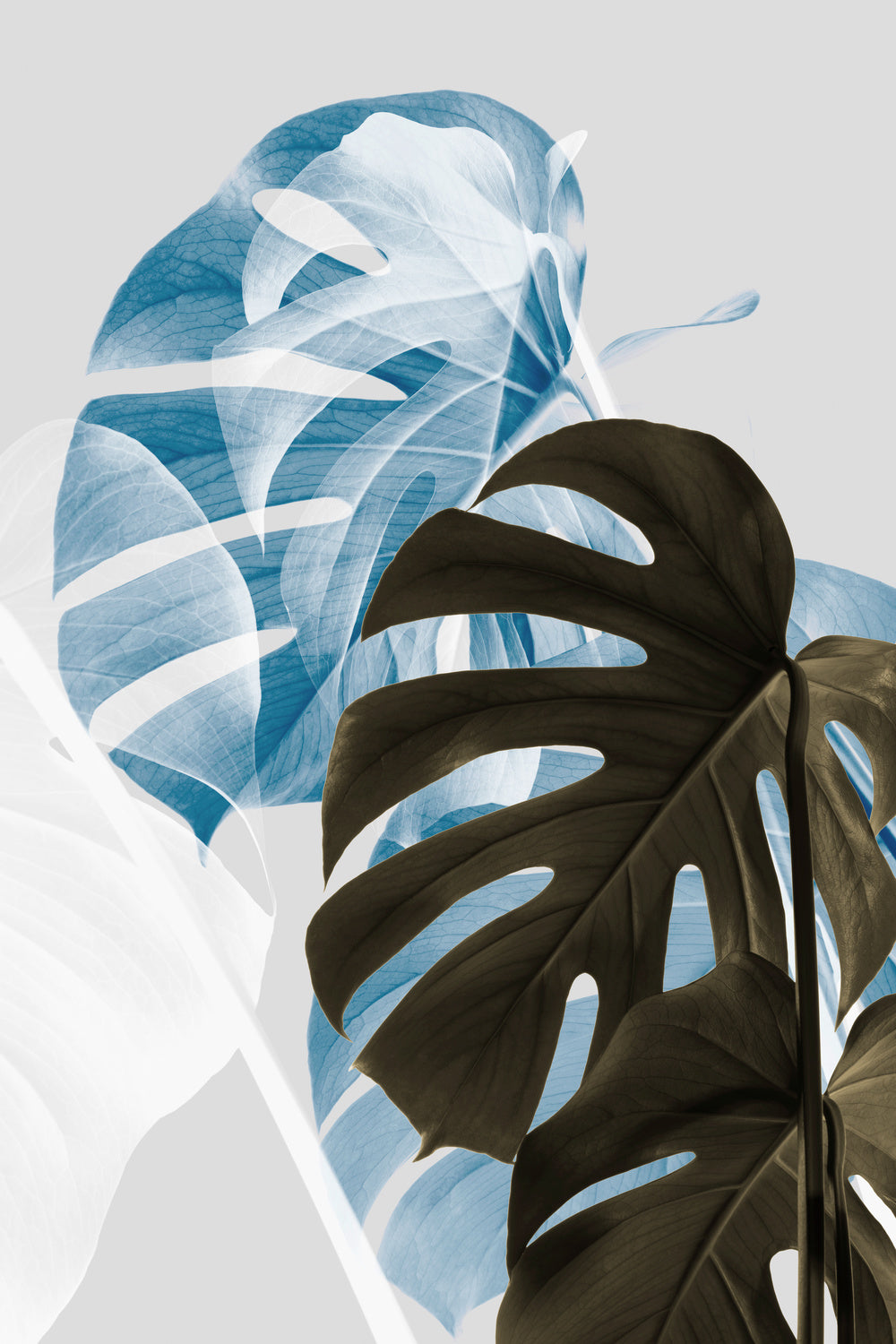 Monstera Creative 02 Poster och Canvastavla