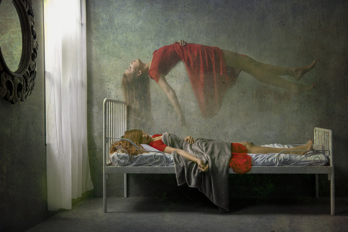 the flying spirit Poster och Canvastavla
