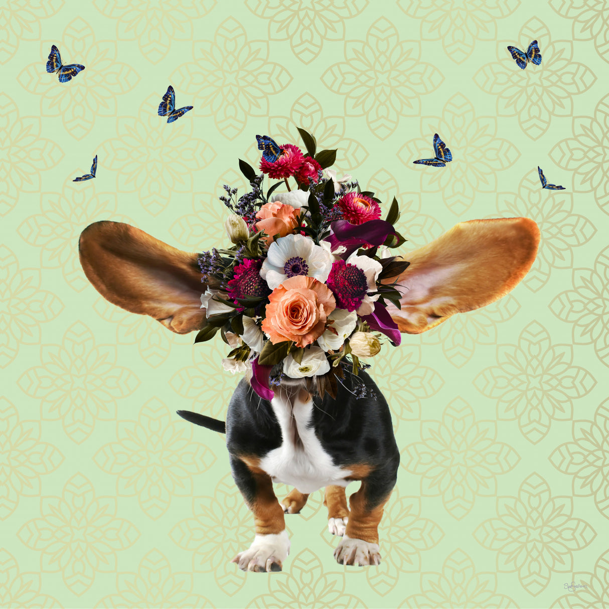 Spring Flower Bonnet On Doggy Poster och Canvastavla
