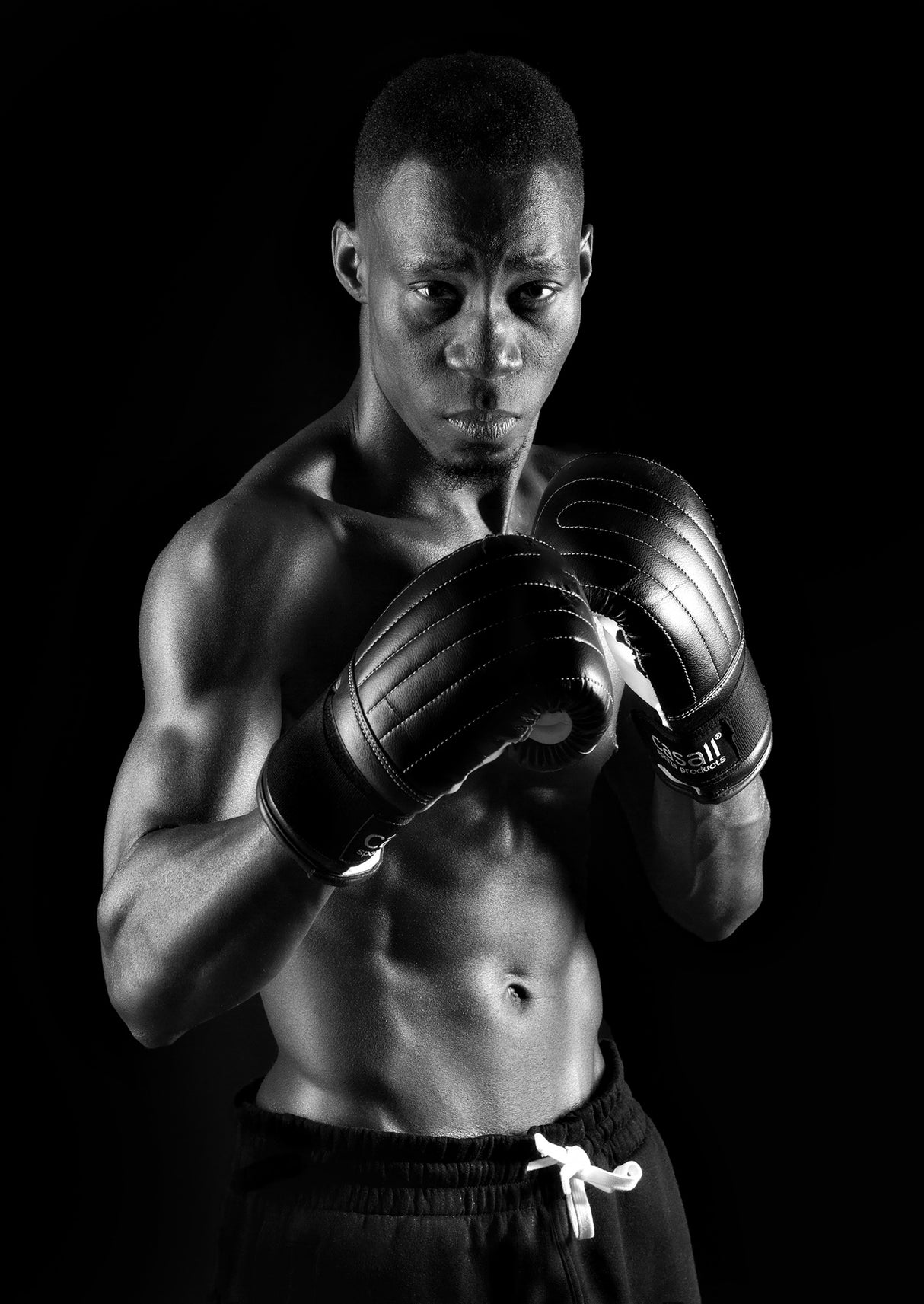 Boxer Poster och Canvastavla