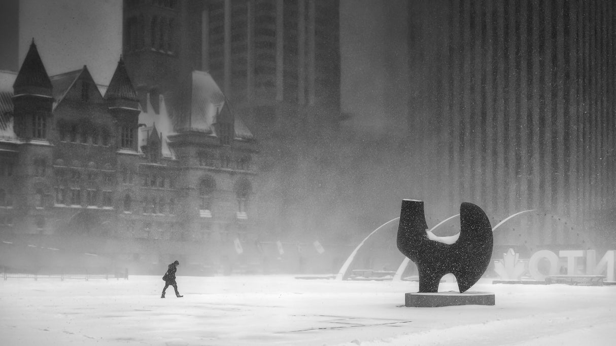 Snow Storm in Toronto Poster och Canvastavla