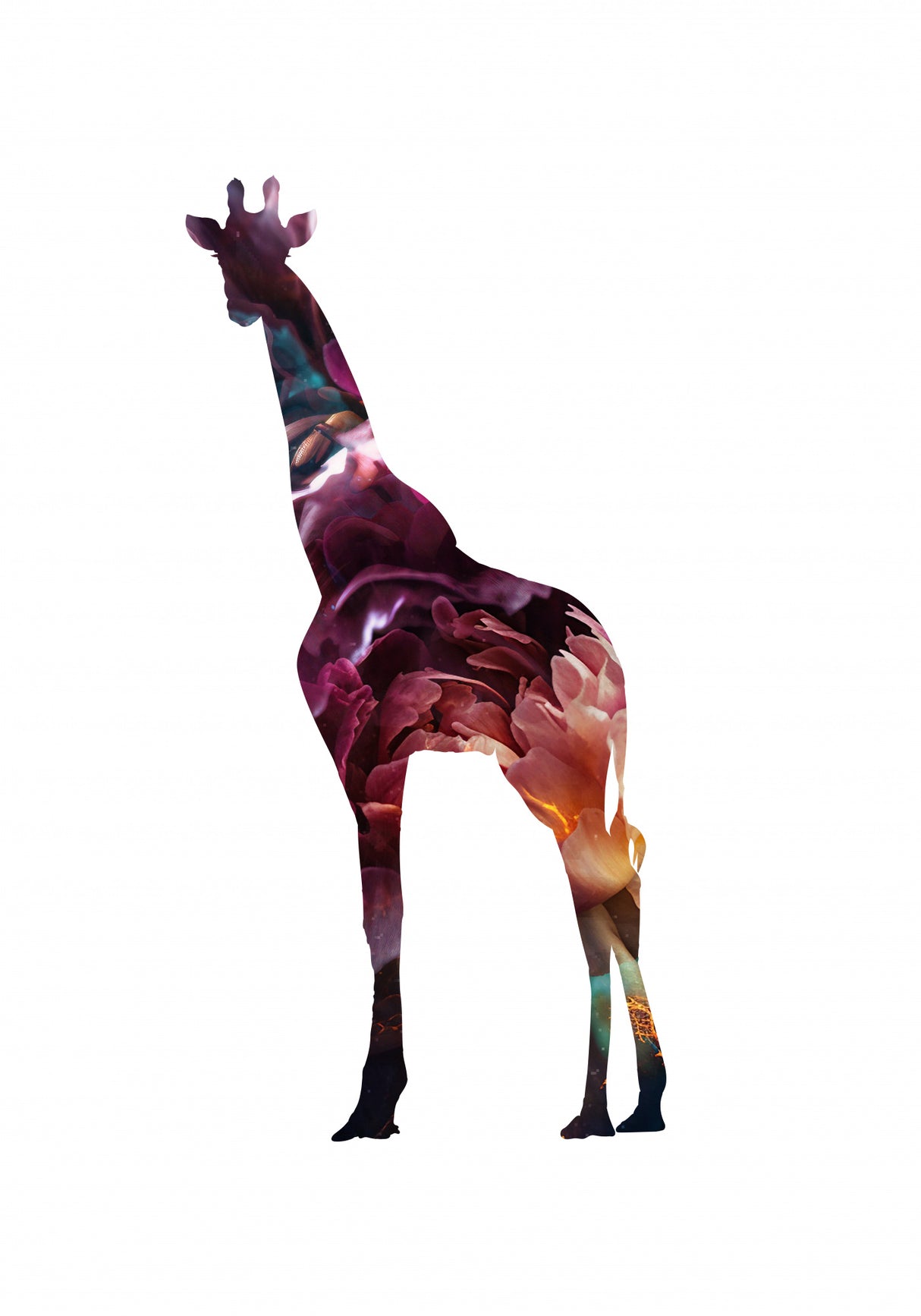 Flower Giraffe Poster och Canvastavla