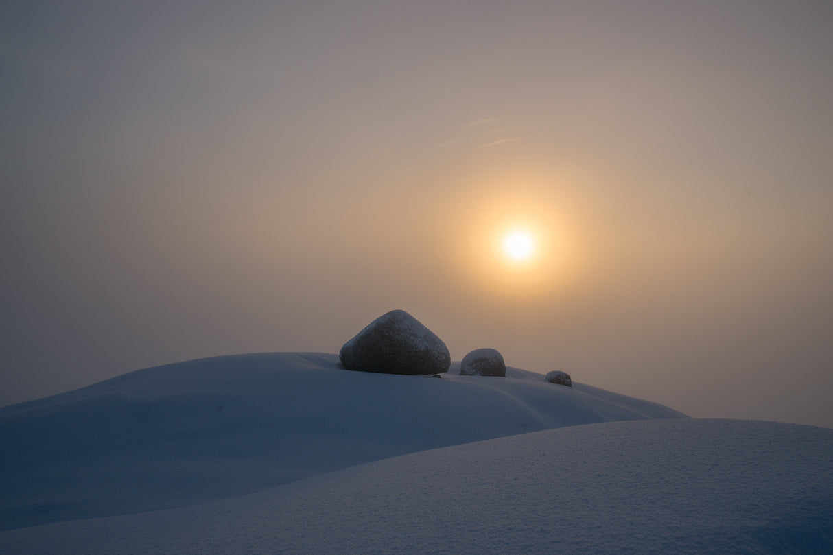 Snow zen Poster och Canvastavla