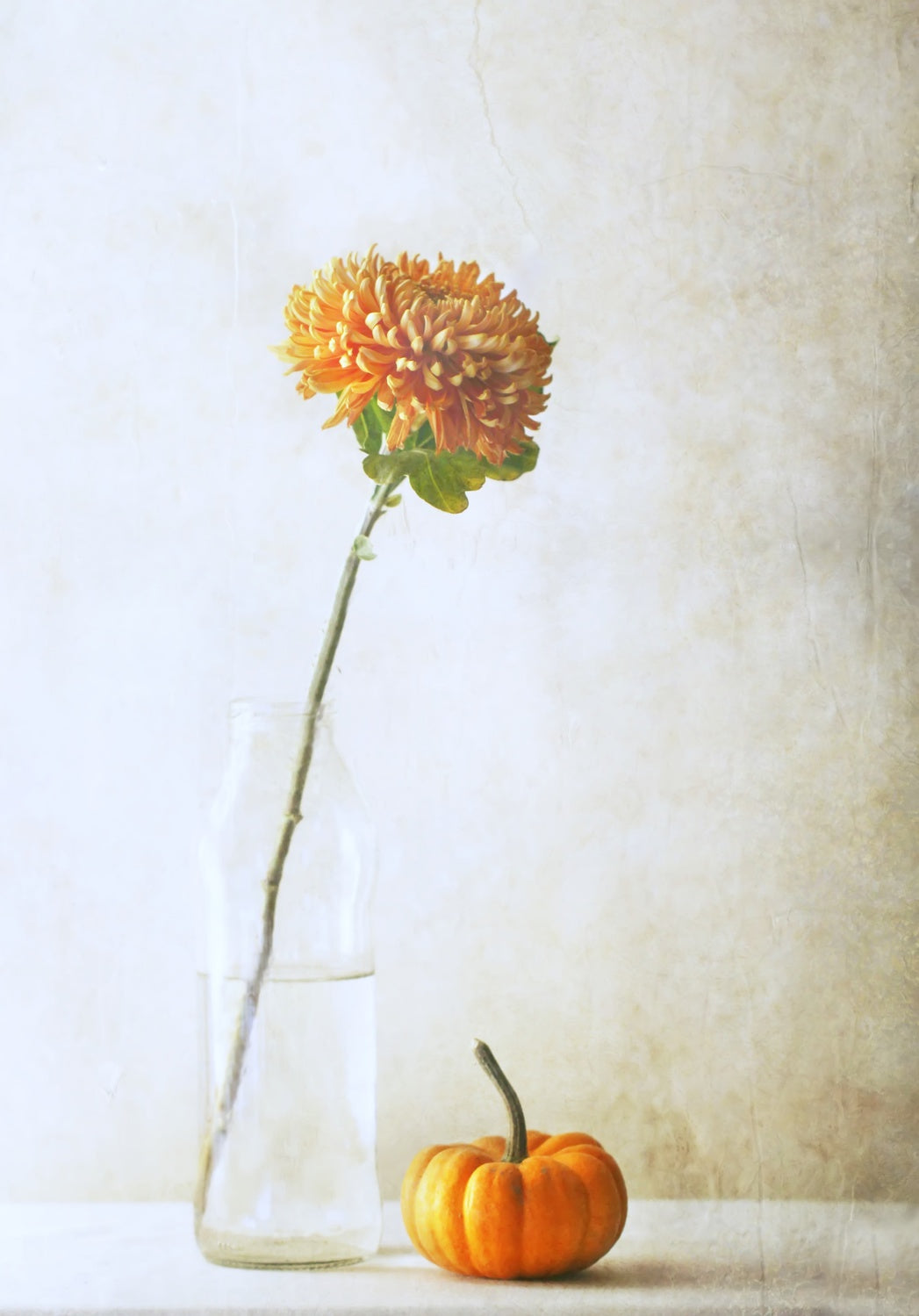 Autumn Flower Poster och Canvastavla