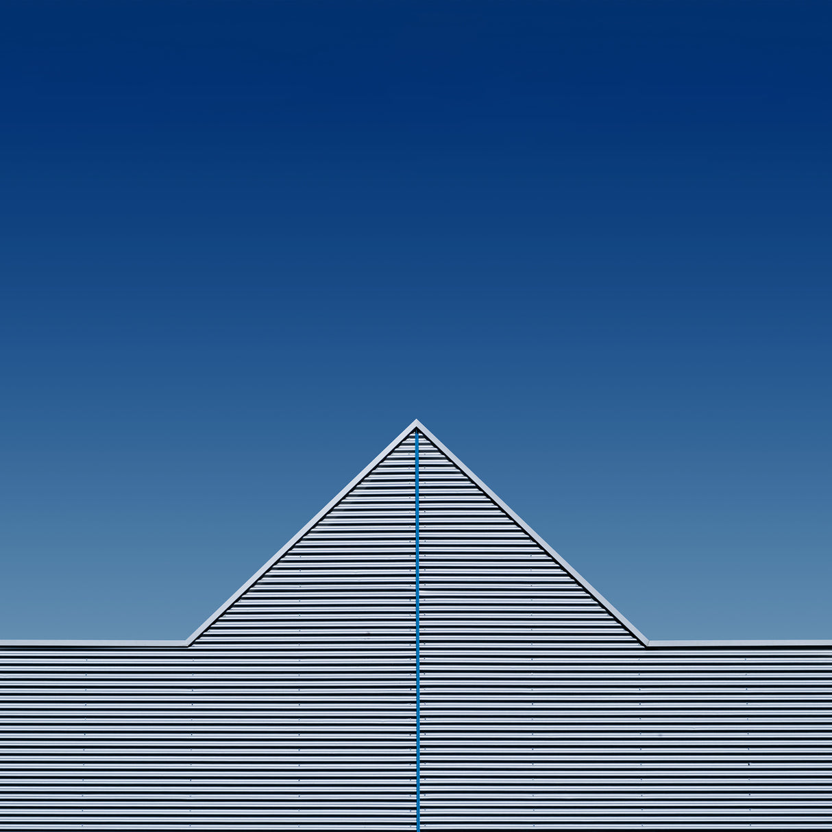 the blue line Poster och Canvastavla