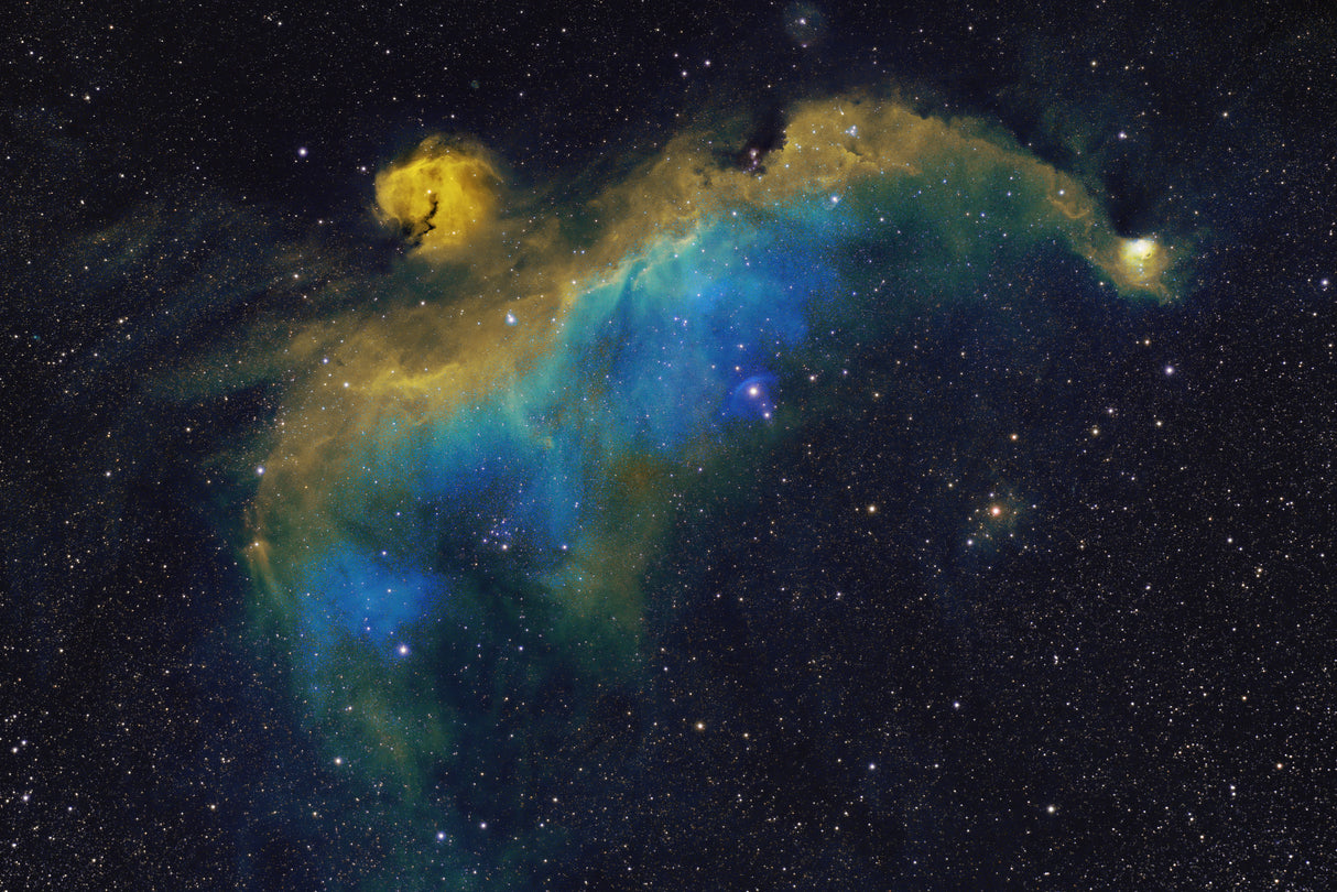 Seagull Nebula Poster och Canvastavla