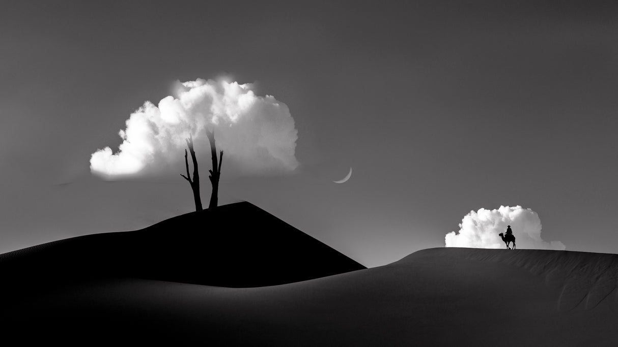 Desert Hills Poster och Canvastavla