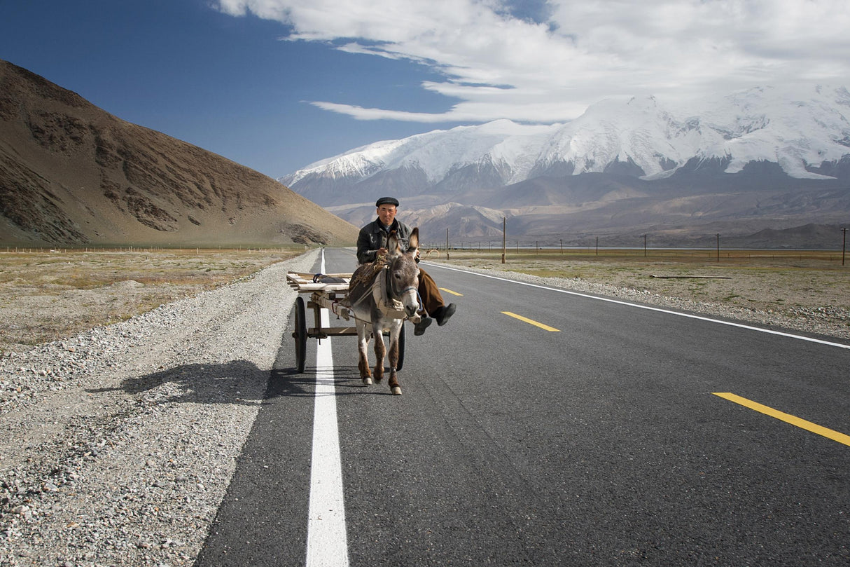 By donkey on the Karakorum Highway Poster och Canvastavla