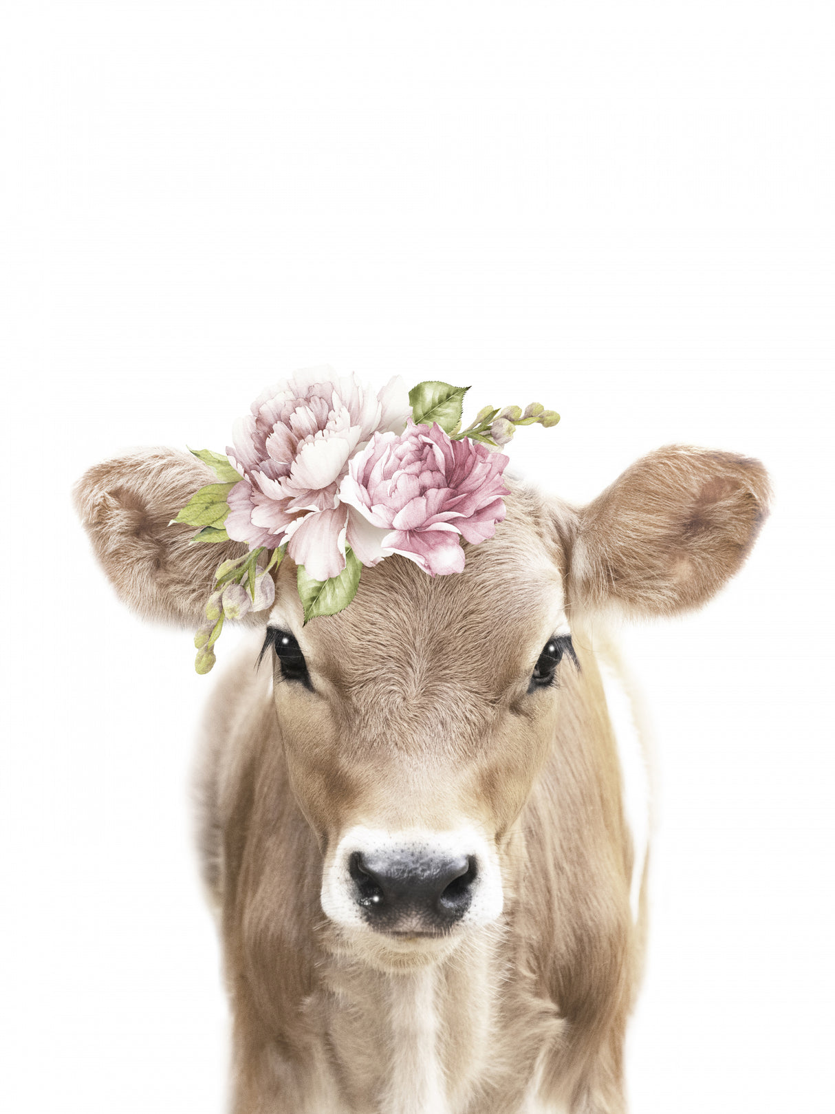 Floral Baby Calf Poster och Canvastavla