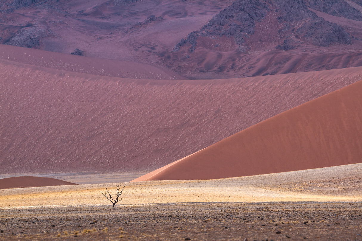 Namib's palette Poster och Canvastavla