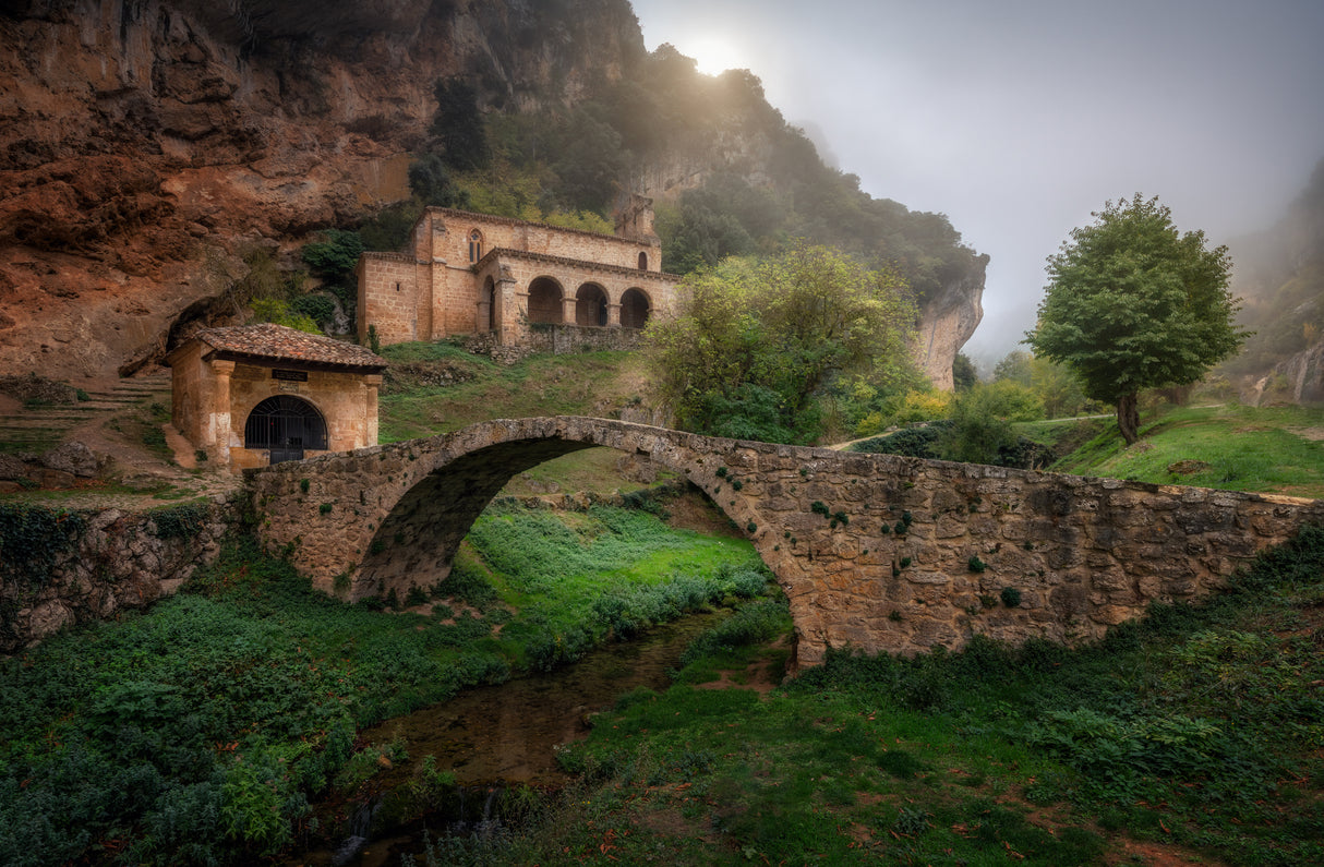 Tobera I Poster och Canvastavla