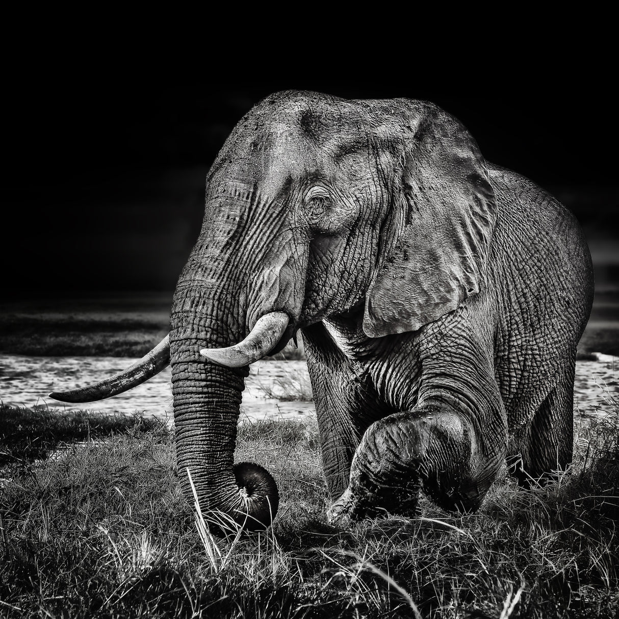 sunset at the waterhole Poster och Canvastavla