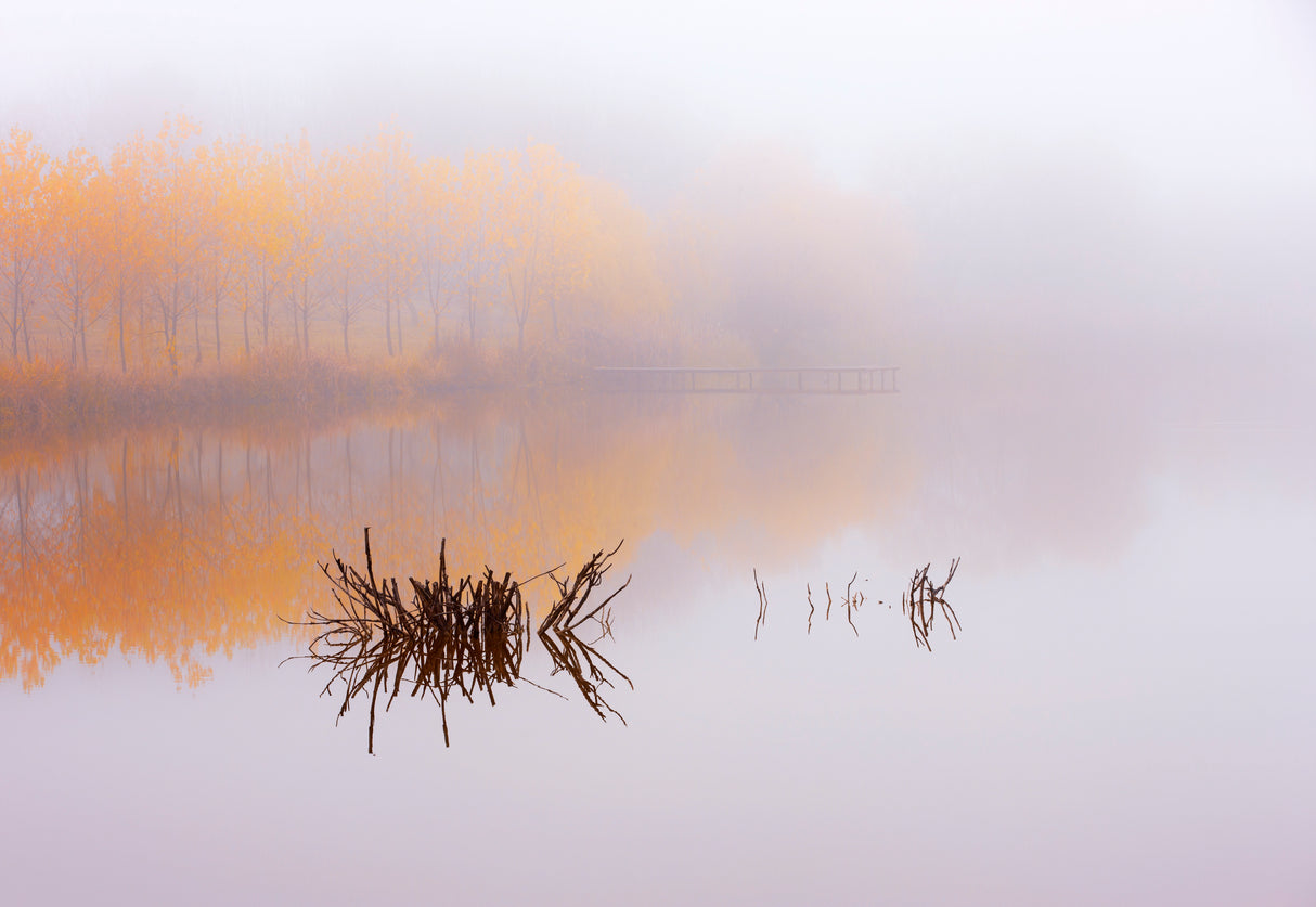The silence of autumn Poster och Canvastavla
