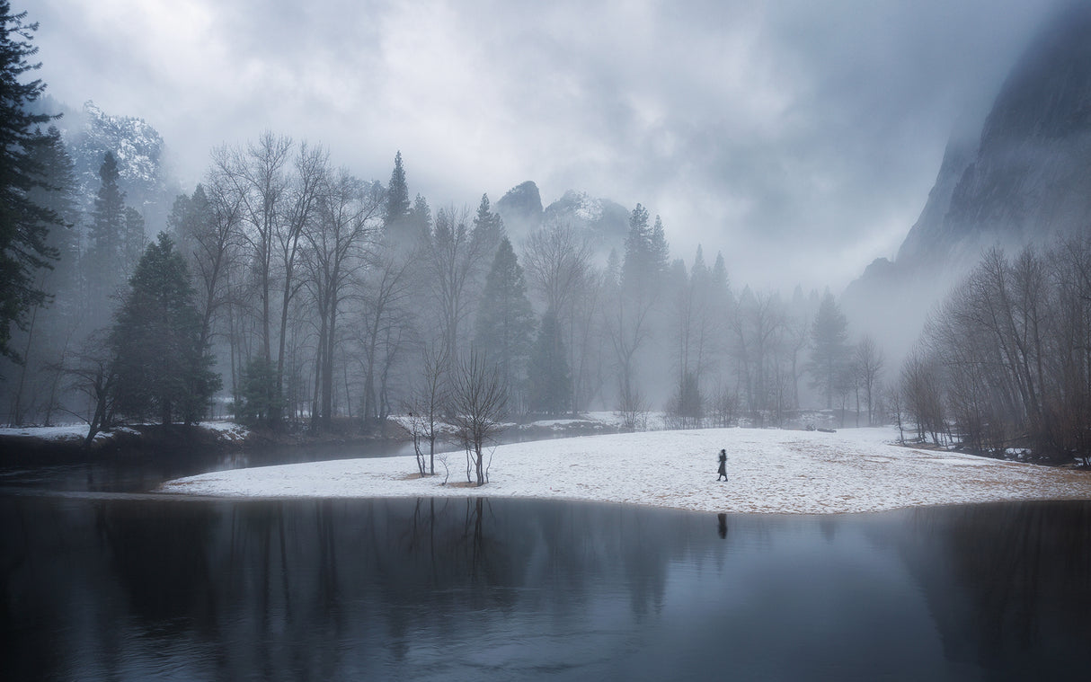 Foggy Yosemite Poster och Canvastavla