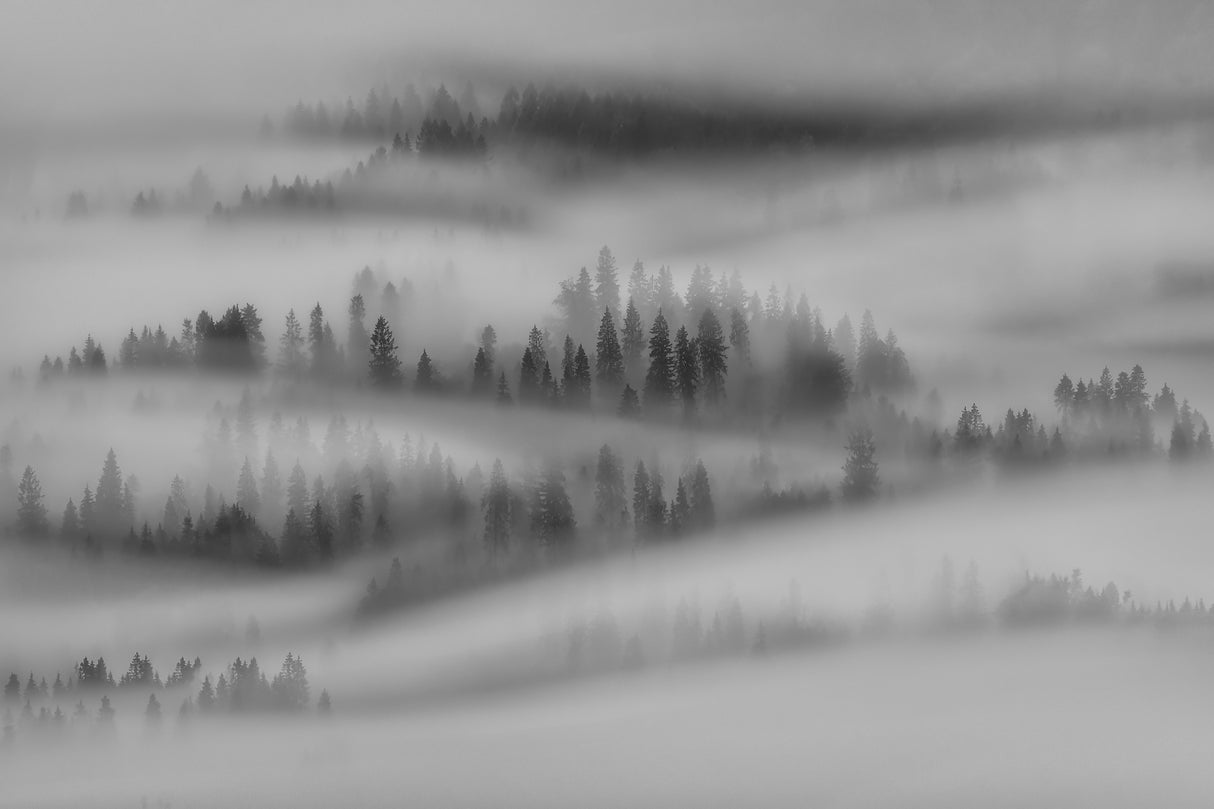 Autumn Impresions Poster och Canvastavla