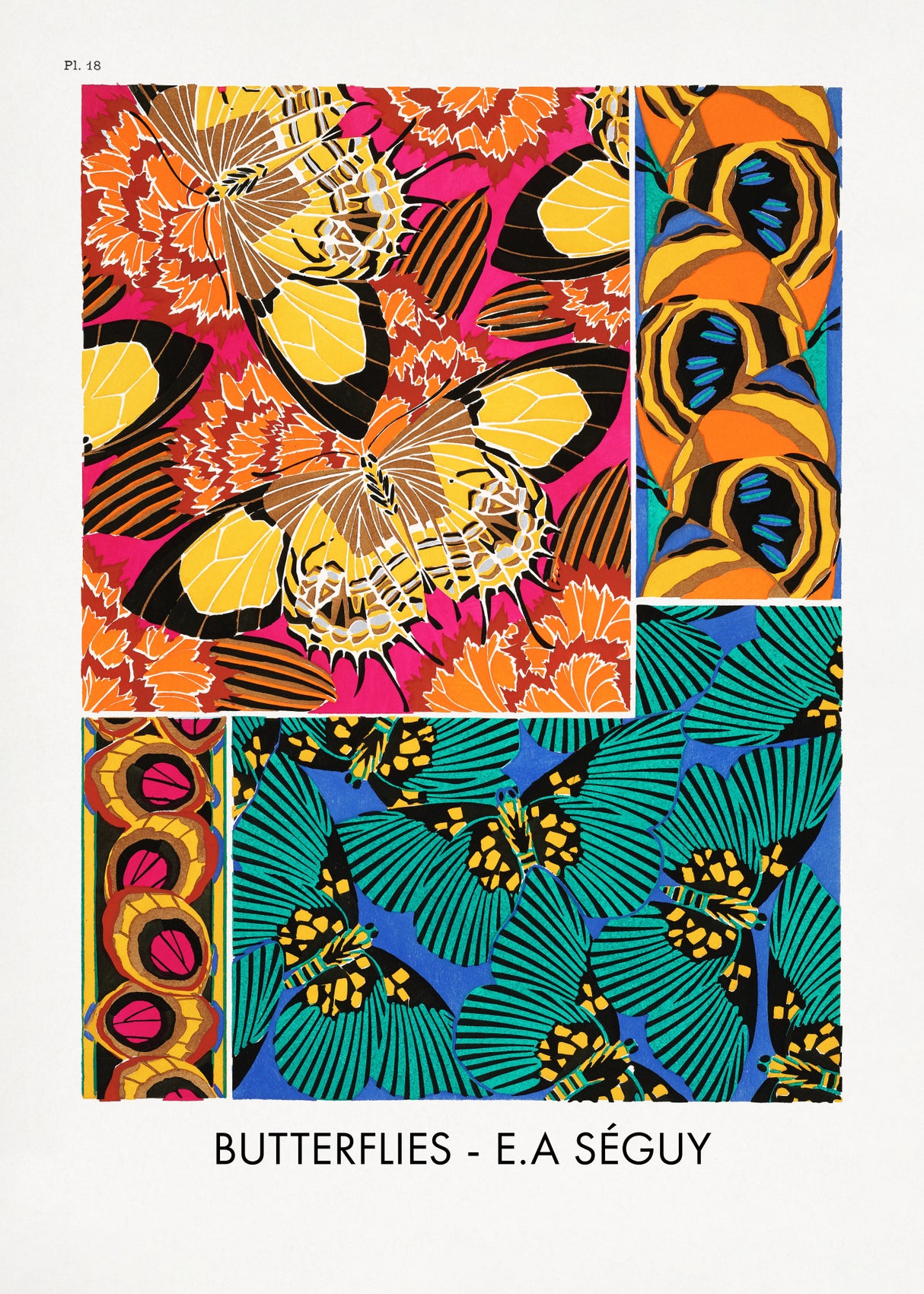 Butterflies 18 Poster och Canvastavla