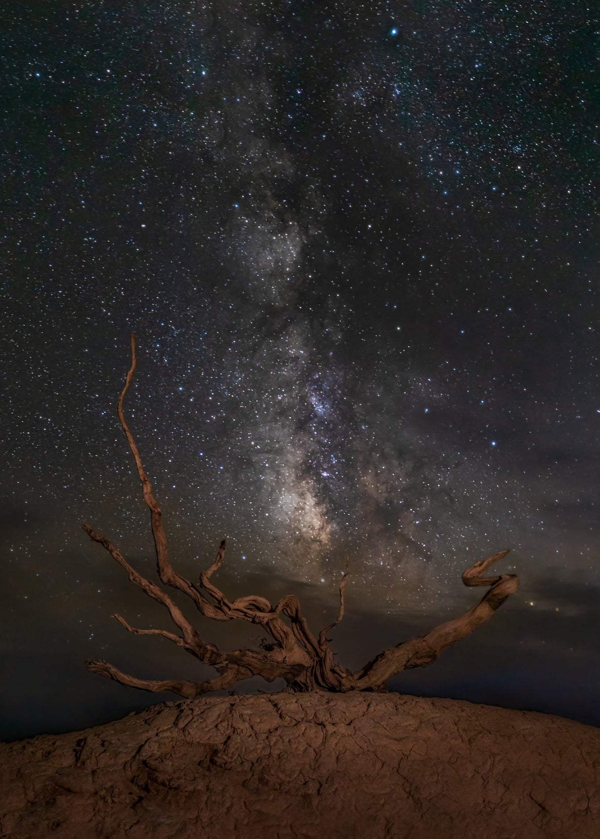Gobi Desert Night Poster och Canvastavla