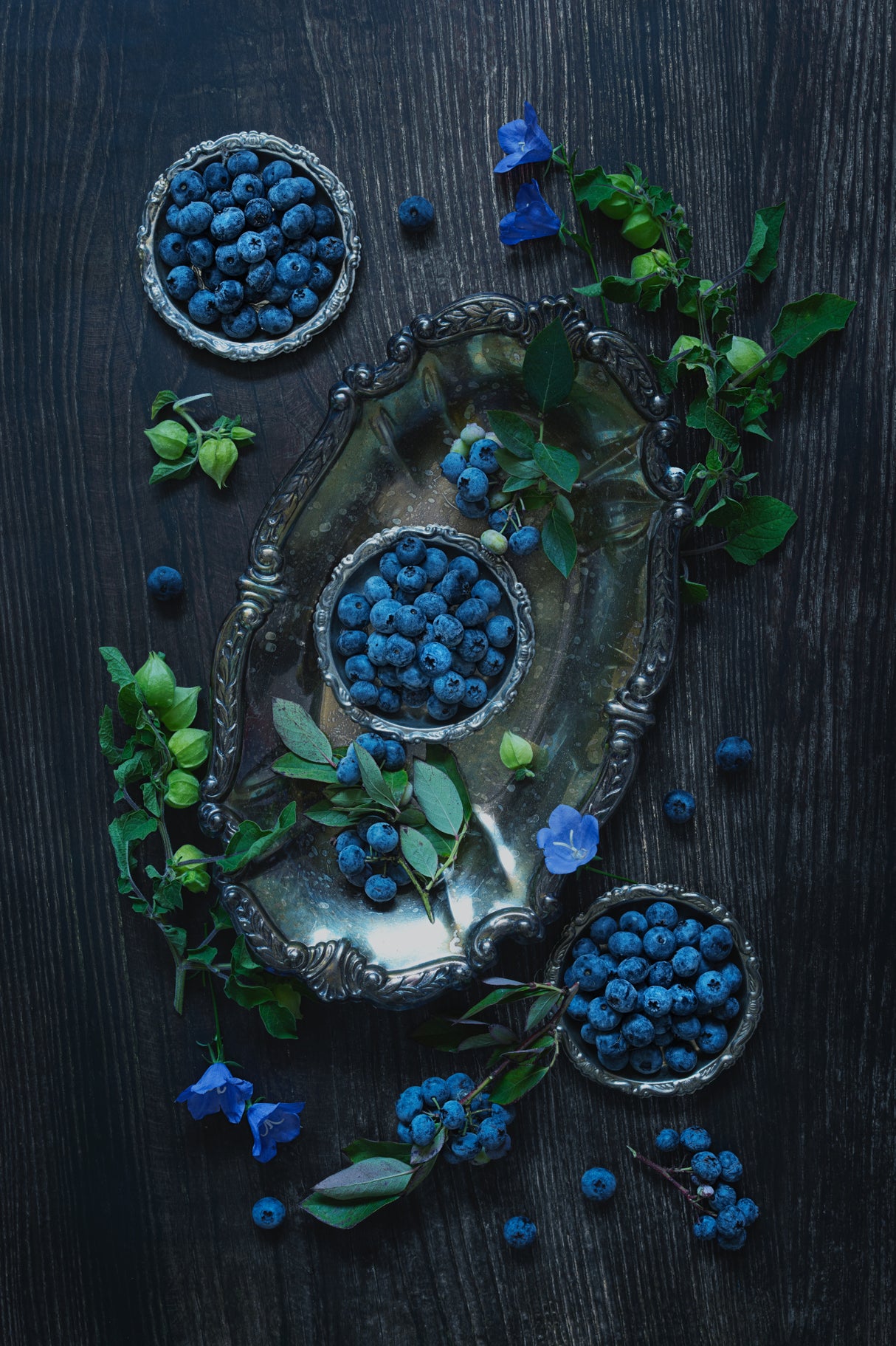 U pick blueberries Poster och Canvastavla
