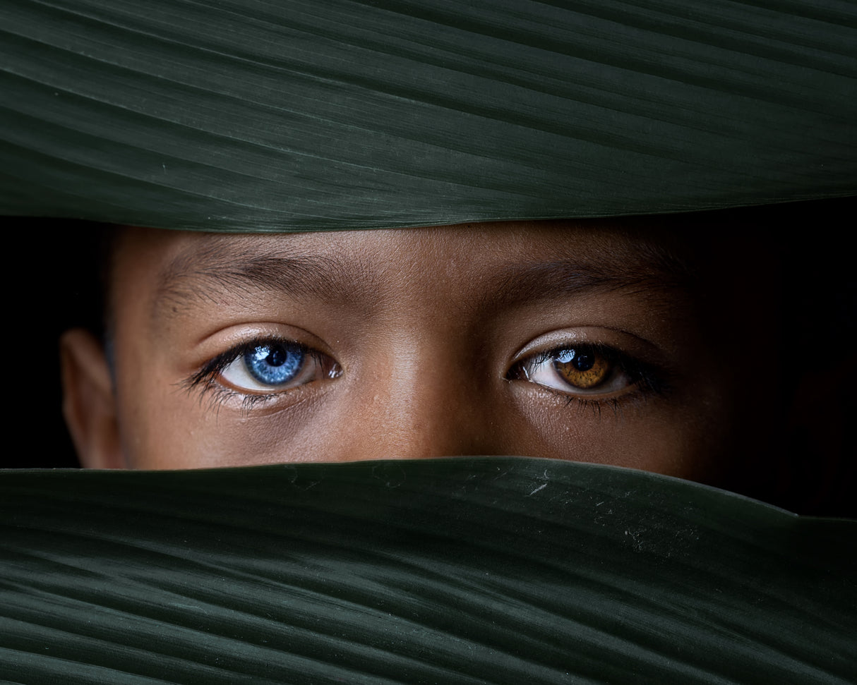 Blue Eyes Poster och Canvastavla