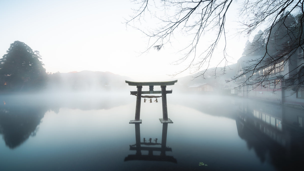 日本 Poster och Canvastavla