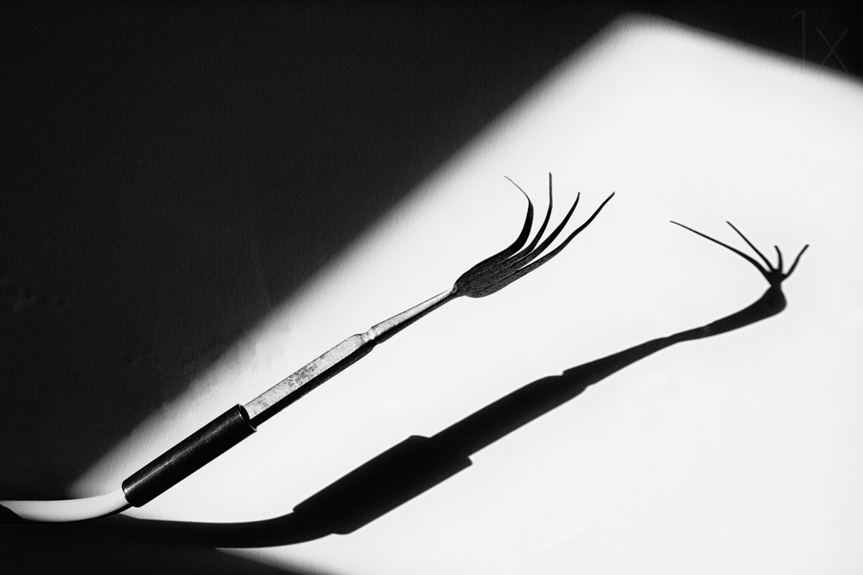 Different shadow Poster och Canvastavla