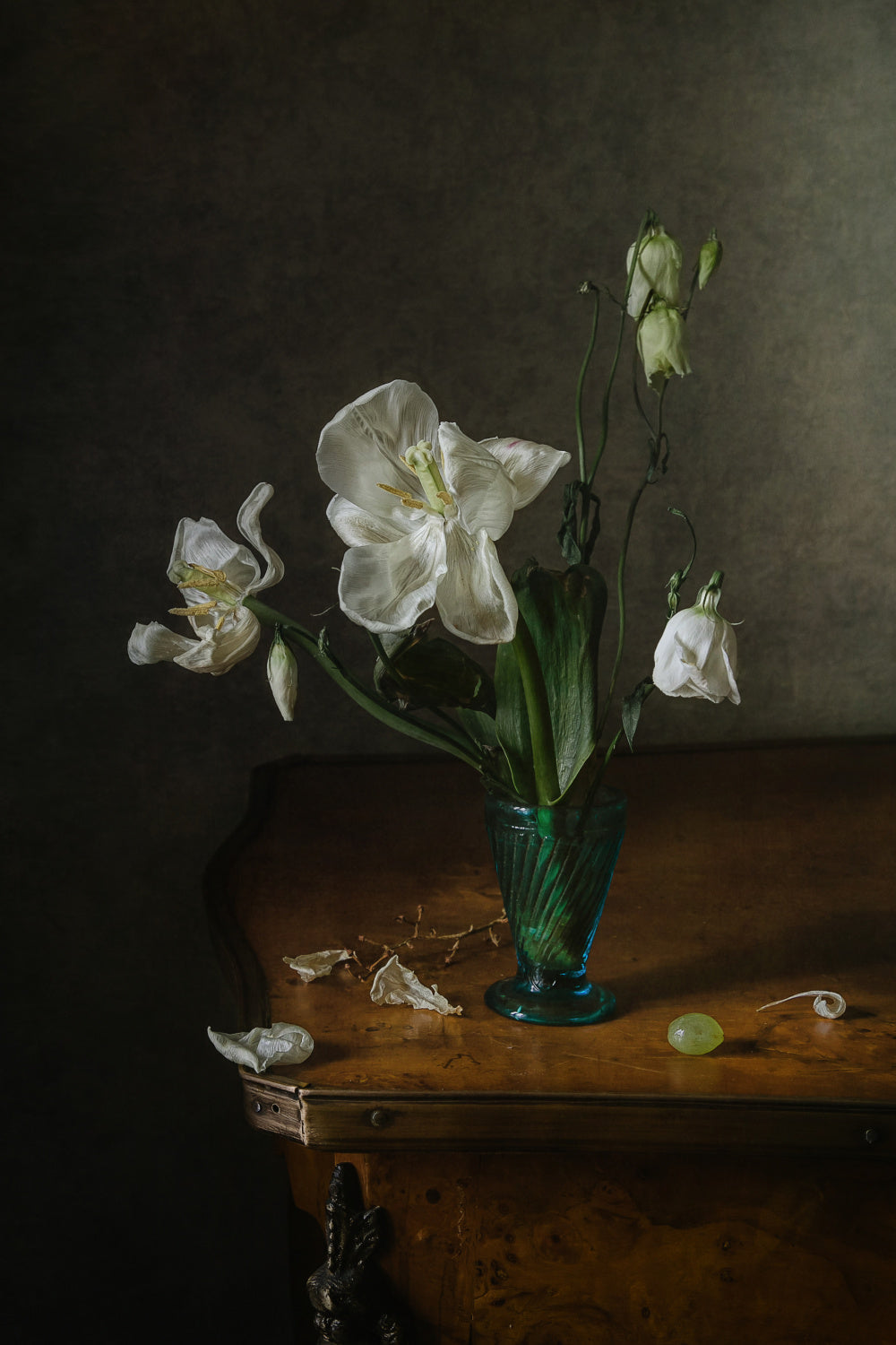 White petals Poster och Canvastavla