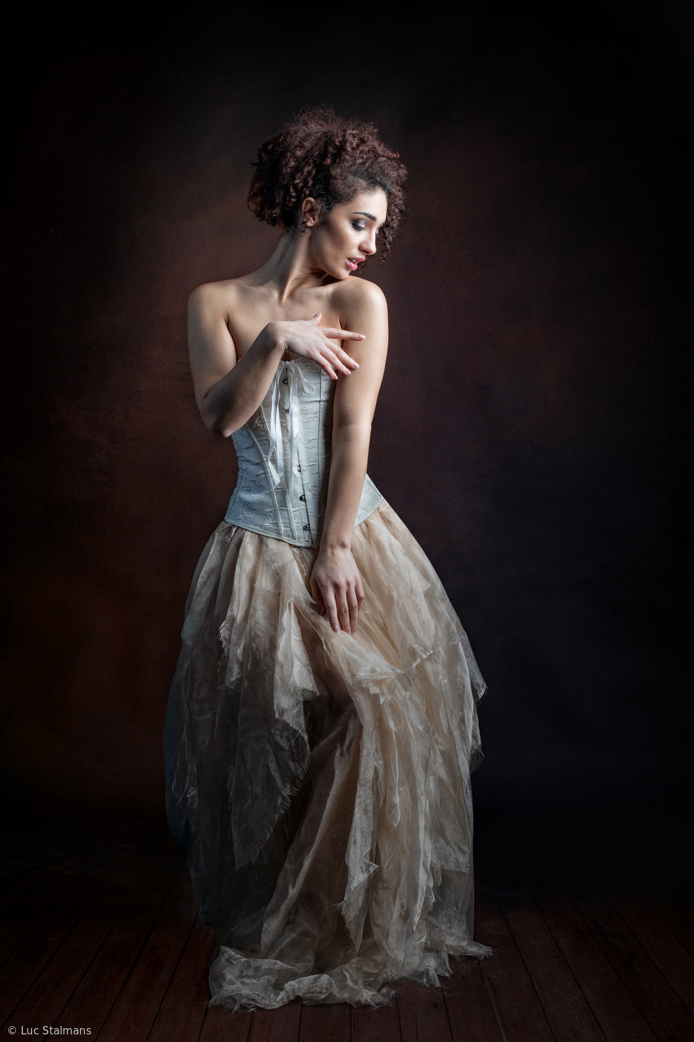 The Lady with the Poor Man's Dress Poster och Canvastavla