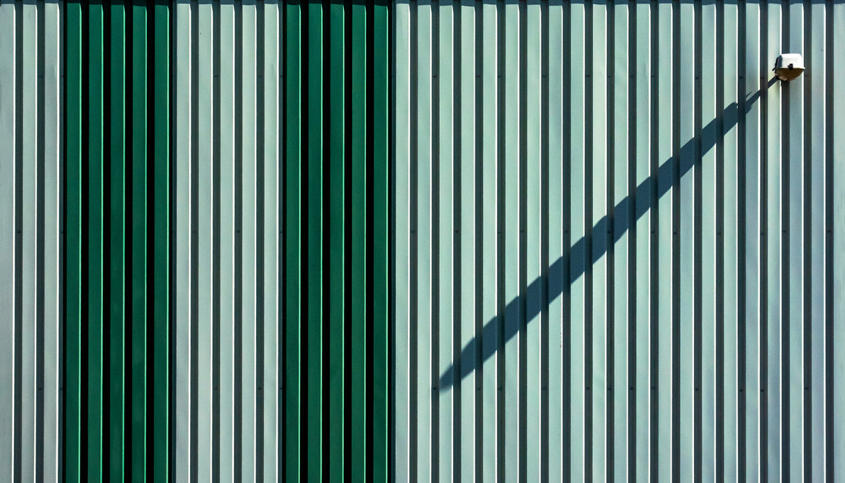 the shadow Poster och Canvastavla