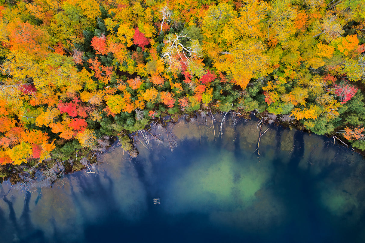 Autumn Pond Poster och Canvastavla