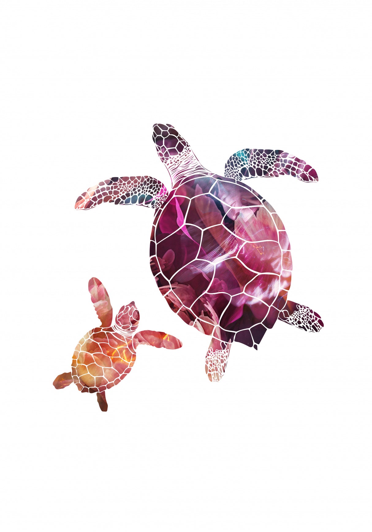 Abstract pink turtles Poster och Canvastavla
