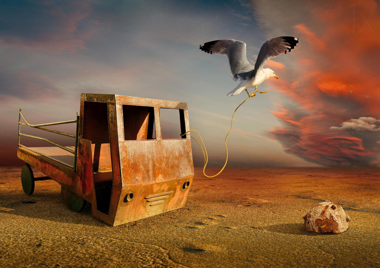 Attempt to fly Poster och Canvastavla