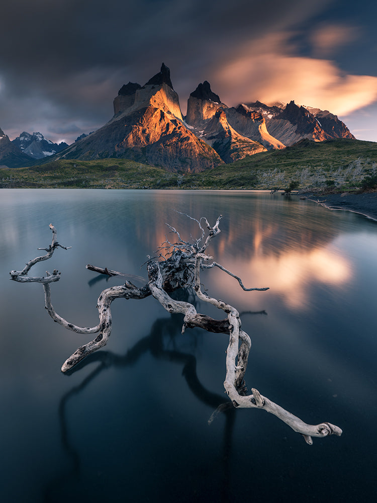 Torres del Paine Poster och Canvastavla