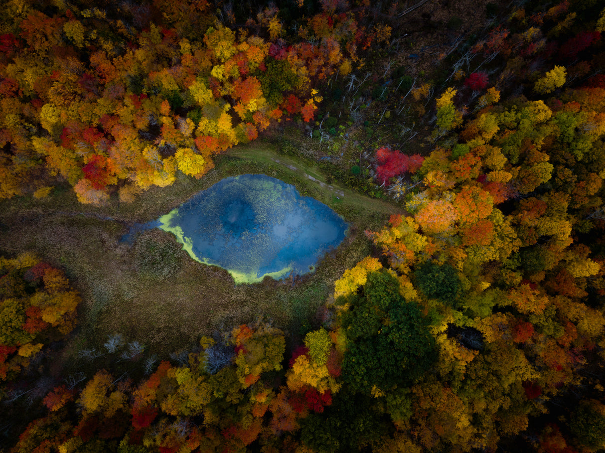 The Eye of Autumn Poster och Canvastavla